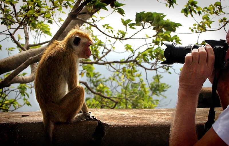 Paparazzi Buzz